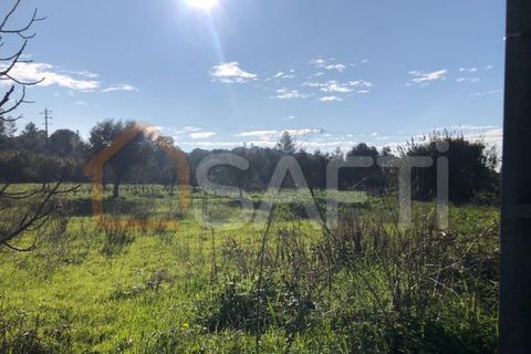 Helårsgrund i Olaia e Paco, Santarem, Olaia e Paco - € 33.000 | Ref: SAFTI:004383 - foto 2