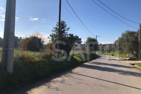 Helårsgrund i Olaia e Paco, Santarem, Olaia e Paco - € 33.000 | Ref: SAFTI:004383 - foto 4