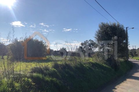 Helårsgrund i Olaia e Paco, Santarem, Olaia e Paco - € 33.000 | Ref: SAFTI:004383 - foto 5