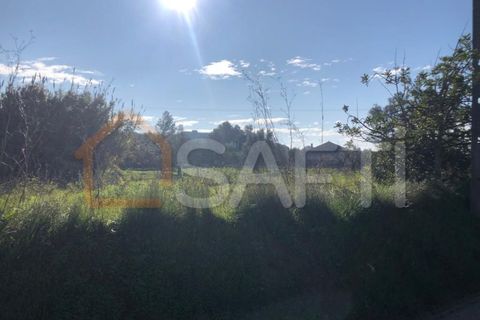 Helårsgrund i Olaia e Paco, Santarem, Olaia e Paco - € 33.000 | Ref: SAFTI:004383 - foto 6