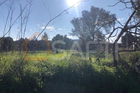 Helårsgrund i Olaia e Paco, Santarem, Olaia e Paco - € 33.000 | Ref: SAFTI:004383 - foto 7