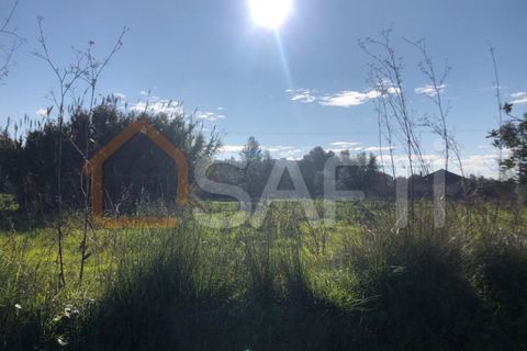 Helårsgrund i Olaia e Paco, Santarem, Olaia e Paco - € 33.000 | Ref: SAFTI:004383 - foto 9