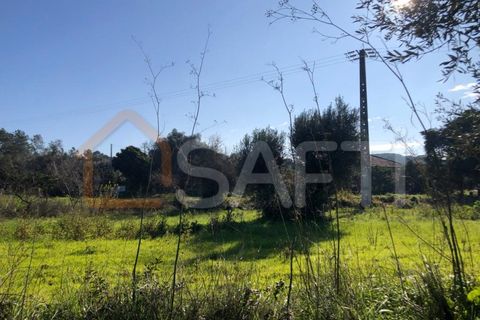 Helårsgrund i Olaia e Paco, Santarem, Olaia e Paco - € 33.000 | Ref: SAFTI:004383 - foto 10