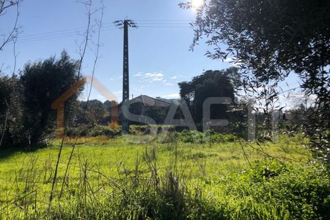 Helårsgrund i Olaia e Paco, Santarem, Olaia e Paco - € 33.000 | Ref: SAFTI:004383 - foto 11