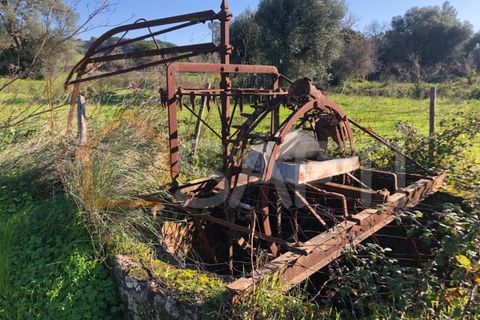 Helårsgrund i Olaia e Paco, Santarem, Olaia e Paco - € 33.000 | Ref: SAFTI:004383 - foto 12