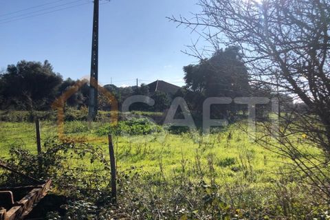 Helårsgrund i Olaia e Paco, Santarem, Olaia e Paco - € 33.000 | Ref: SAFTI:004383 - foto 13