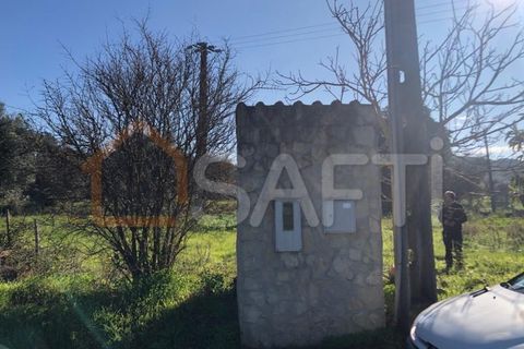 Helårsgrund i Olaia e Paco, Santarem, Olaia e Paco - € 33.000 | Ref: SAFTI:004383 - foto 14