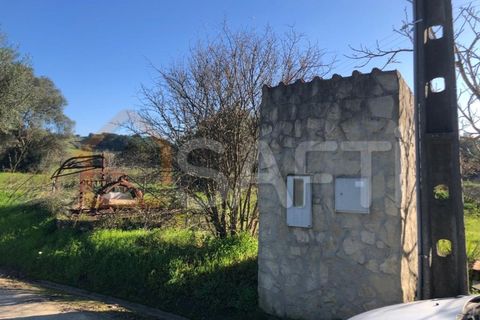 Helårsgrund i Olaia e Paco, Santarem, Olaia e Paco - € 33.000 | Ref: SAFTI:004383 - foto 15
