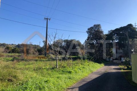Helårsgrund i Olaia e Paco, Santarem, Olaia e Paco - € 33.000 | Ref: SAFTI:004383 - foto 17