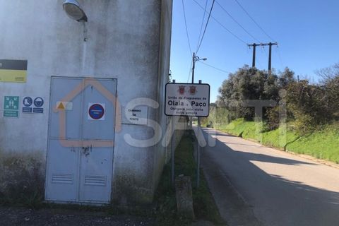 Helårsgrund i Olaia e Paco, Santarem, Olaia e Paco - € 33.000 | Ref: SAFTI:004383 - foto 18