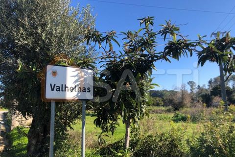 Helårsgrund i Olaia e Paco, Santarem, Olaia e Paco - € 33.000 | Ref: SAFTI:004383 - foto 19