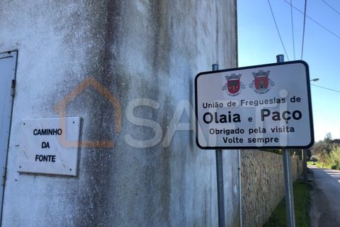 Helårsgrund i Olaia e Paco, Santarem, Olaia e Paco - € 33.000 | Ref: SAFTI:004383 - foto 20