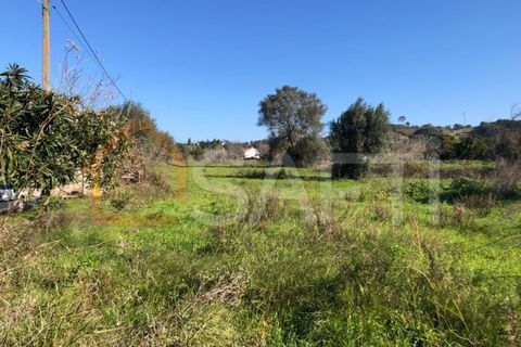 Helårsgrund i Olaia e Paco, Santarem, Olaia e Paco - € 33.000 | Ref: SAFTI:004383 - foto 21