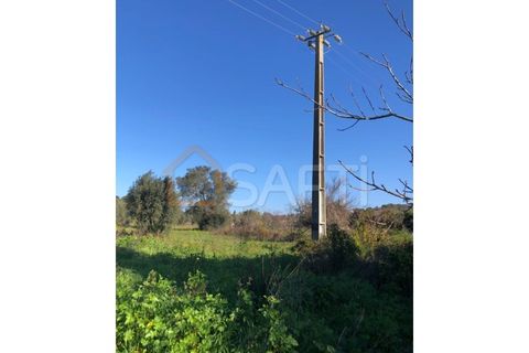 Helårsgrund i Olaia e Paco, Santarem, Olaia e Paco - € 33.000 | Ref: SAFTI:004383 - foto 22