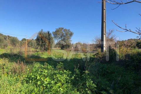 Helårsgrund i Olaia e Paco, Santarem, Olaia e Paco - € 33.000 | Ref: SAFTI:004383 - foto 23