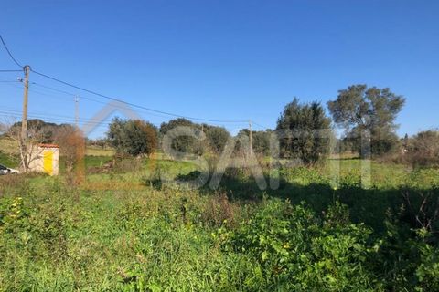 Helårsgrund i Olaia e Paco, Santarem, Olaia e Paco - € 33.000 | Ref: SAFTI:004383 - foto 24
