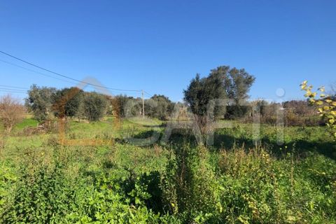 Helårsgrund i Olaia e Paco, Santarem, Olaia e Paco - € 33.000 | Ref: SAFTI:004383 - foto 25