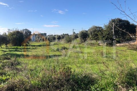 Helårsgrund i Olaia e Paco, Santarem, Olaia e Paco - € 33.000 | Ref: SAFTI:004383 - foto 27