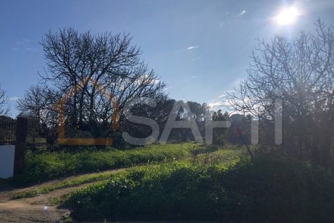 Helårsgrund i Olaia e Paco, Santarem, Olaia e Paco - € 33.000 | Ref: SAFTI:004383 - foto 28