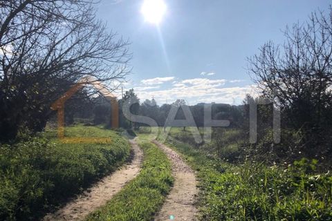 Helårsgrund i Olaia e Paco, Santarem, Olaia e Paco - € 33.000 | Ref: SAFTI:004383 - foto 29