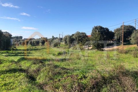 Helårsgrund i Olaia e Paco, Santarem, Olaia e Paco - € 33.000 | Ref: SAFTI:004383 - foto 31