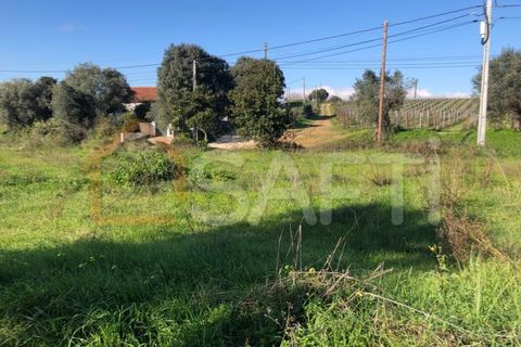 Helårsgrund i Olaia e Paco, Santarem, Olaia e Paco - € 33.000 | Ref: SAFTI:004383 - foto 32