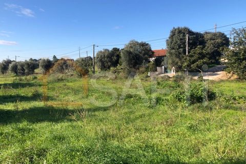 Helårsgrund i Olaia e Paco, Santarem, Olaia e Paco - € 33.000 | Ref: SAFTI:004383 - foto 33