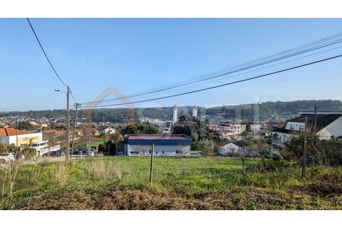 Helårsgrund i Pombal, Leiria, Pombal - € 86.000 | Ref: SAFTI:004376 - foto 6