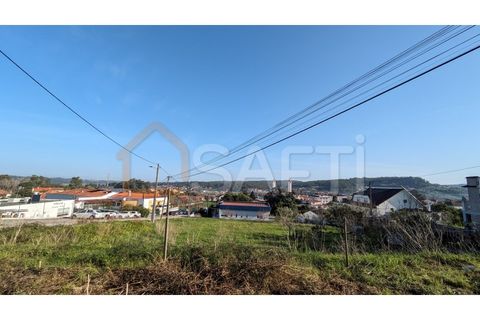 Helårsgrund i Pombal, Leiria, Pombal - € 86.000 | Ref: SAFTI:004376 - foto 7