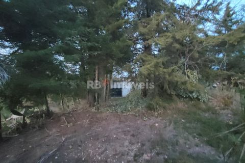 Helårsgrund i Tomar, Santarem, Tomar - € 120.000 | Ref: 01115-24 - foto 11