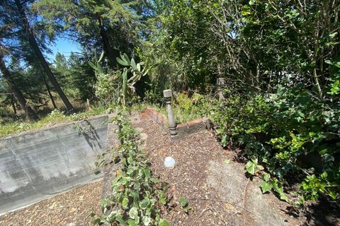 Helårsgrund i Tomar, Santarem, Tomar - € 120.000 | Ref: 01115-24 - foto 7