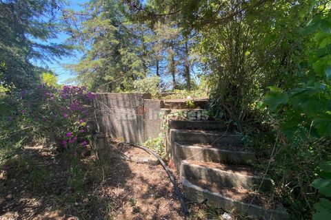 Helårsgrund i Tomar, Santarem, Tomar - € 120.000 | Ref: 01115-24 - foto 1