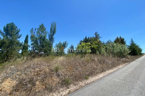 Helårsgrund i Tomar, Santarem, Tomar - € 120.000 | Ref: 01115-24 - foto 4