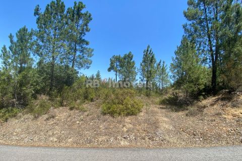 Helårsgrund i Tomar, Santarem, Tomar - € 120.000 | Ref: 01115-24 - foto 10