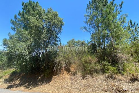 Helårsgrund i Tomar, Santarem, Tomar - € 120.000 | Ref: 01115-24 - foto 9