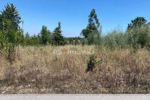 Helårsgrund i Tomar, Santarem, Tomar - € 120.000 | Ref: 01115-24 - foto 12