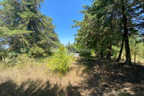Helårsgrund i Tomar, Santarem, Tomar - € 120.000 | Ref: 01115-24 - foto 8