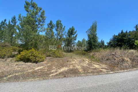 Helårsgrund i Tomar, Santarem, Tomar - € 120.000 | Ref: 01115-24 - foto 2