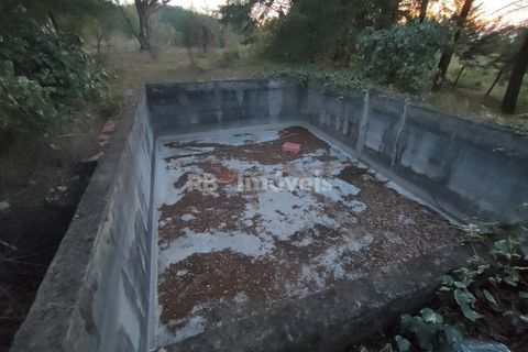 Helårsgrund i Tomar, Santarem, Tomar - € 120.000 | Ref: 01115-24 - foto 5