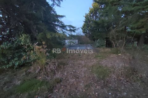 Helårsgrund i Tomar, Santarem, Tomar - € 120.000 | Ref: 01115-24 - foto 13