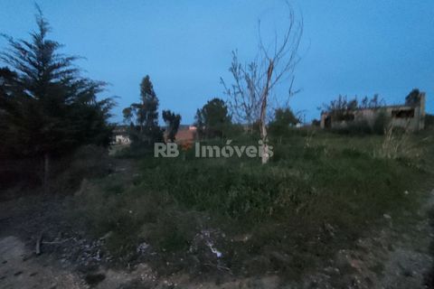 Helårsgrund i Tomar, Santarem, Tomar - € 120.000 | Ref: 01115-24 - foto 14
