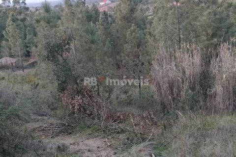 Helårsgrund i Tomar, Santarem, Tomar - € 120.000 | Ref: 01115-24 - foto 15