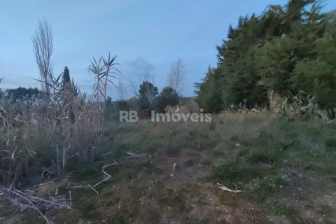 Helårsgrund i Tomar, Santarem, Tomar - € 120.000 | Ref: 01115-24 - foto 16
