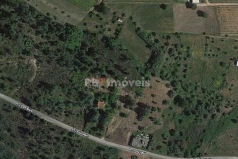 Helårsgrund i Tomar, Santarem, Tomar - € 120.000 | Ref: 01115-24 - foto 17