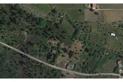 Helårsgrund i Tomar, Santarem, Tomar - € 120.000 | Ref: 01115-24 - foto 18