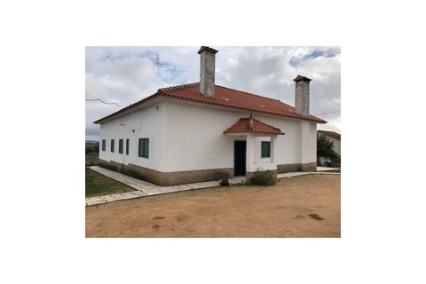 Farm i Monforte, Portalegre, Monforte - € 380.000 | Ref: MAS_291 - foto 3