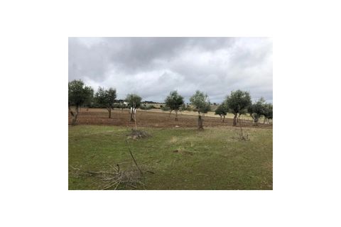 Farm i Monforte, Portalegre, Monforte - € 380.000 | Ref: MAS_291 - foto 7