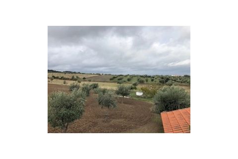 Farm i Monforte, Portalegre, Monforte - € 380.000 | Ref: MAS_291 - foto 8