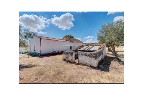 Farm i Monforte, Portalegre, Monforte - € 380.000 | Ref: MAS_291 - foto 18