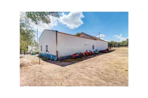 Farm i Monforte, Portalegre, Monforte - € 380.000 | Ref: MAS_291 - foto 25
